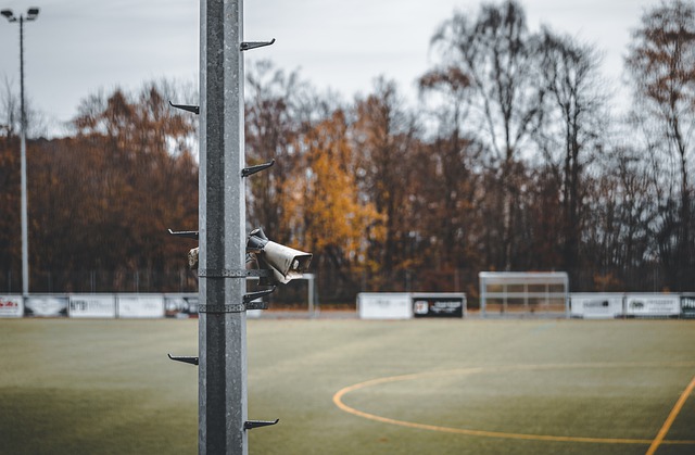 斯卢茨基正 斯卢茨基正