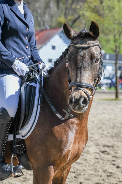巴黎圣日耳 巴黎圣日耳