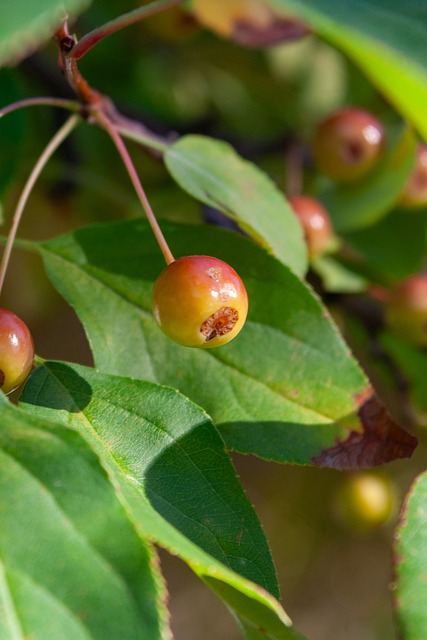 深远意义 深远意义