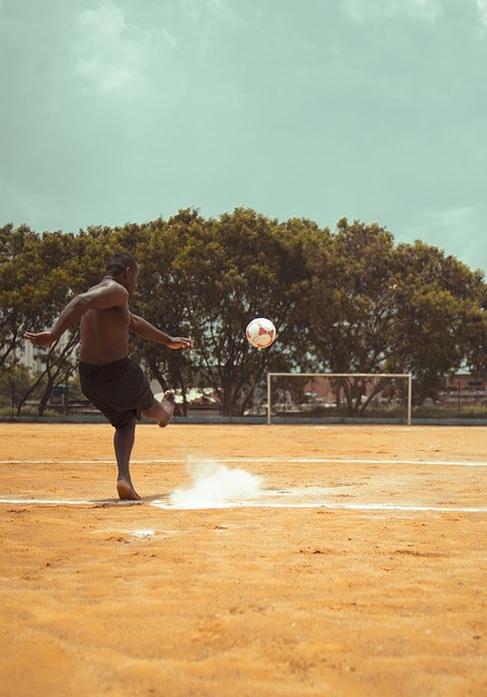 的潜力新星 的潜力新星