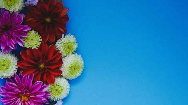 碰女人PP 碰女人PP