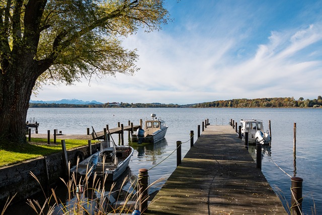 他们更珍视 他们更珍视